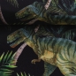 Preview: Softshell Dinosaurier schwarz grün rot