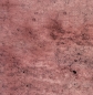 Preview: Canvas Mr Grey Stone by Cherry Picking - Betonoptik - altrosa - schwarz