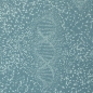 Preview: Jersey DNA by Bienvenido Colorido blau hellblau