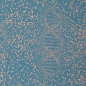 Preview: Jersey DNA by Bienvenido Colorido blau apricot