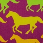 Preview: Sweat - angerauter Sommersweat Basel - Pferde beere bunt - regenbogenfarben Verlauf