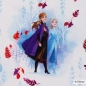 Preview: Jersey Disney - Die Eiskönigin 2 - Anna - Elsa - weiß