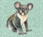 Preview: French Terry Sommersweat Panel Koala mint FHTN