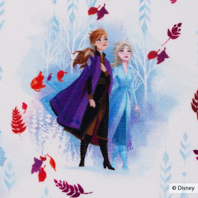Jersey Disney - Die Eiskönigin 2 - Anna - Elsa - weiß