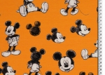 Jersey Disney Lizenz Mickey Mouse Micky Maus auf senf ocker