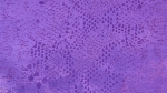 Wildleder Schlangenoptik violett