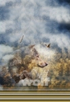 French Terry Panel Wolf Wald braun 50 x 75 cm