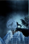 French Terry Panel Wolf Klippe Mond dunkelblau schwarz 50 x 75 cm